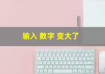 输入 数字 变大了